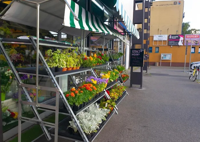 Appartamento C M Skotarska