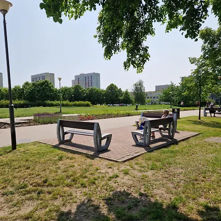 C M Skotarska Daire *