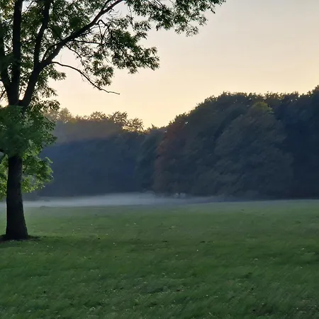 C M Skotarska Poznan