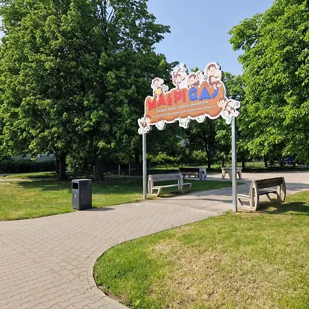 C M Skotarska Daire *